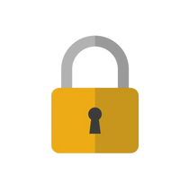 Secure checkout